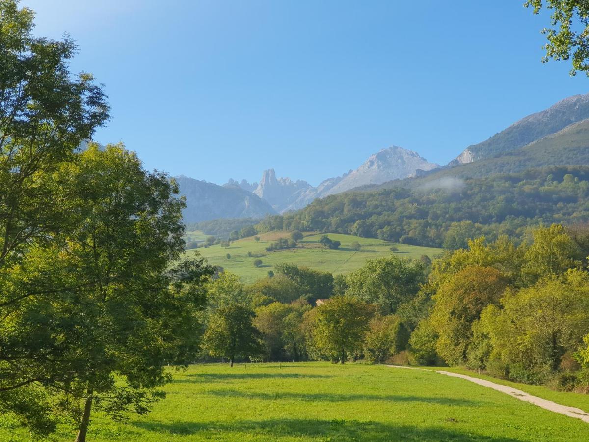 La Estancia De Cangas - Amplio Piso Con Garaje Onís Exteriér fotografie